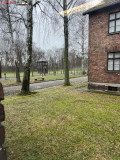 Lagărul de concentrare Auschwitz 65