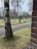 Lagărul de concentrare Auschwitz 66