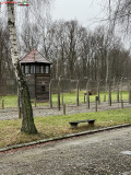 Lagărul de concentrare Auschwitz 67