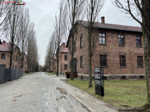 Lagărul de concentrare Auschwitz 93