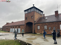 Lagărul De Exterminare Birkenau Auschwitz 2 08