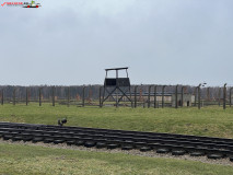 Lagărul De Exterminare Birkenau Auschwitz 2 14