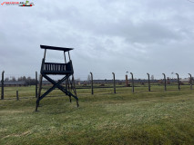 Lagărul De Exterminare Birkenau Auschwitz 2 15