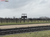 Lagărul De Exterminare Birkenau Auschwitz 2 19