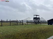 Lagărul De Exterminare Birkenau Auschwitz 2 20