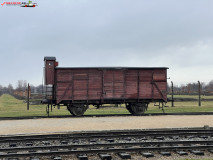 Lagărul De Exterminare Birkenau Auschwitz 2 22