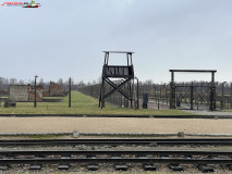 Lagărul De Exterminare Birkenau Auschwitz 2 24