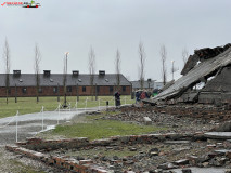 Lagărul De Exterminare Birkenau Auschwitz 2 39