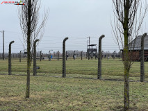 Lagărul De Exterminare Birkenau Auschwitz 2 44