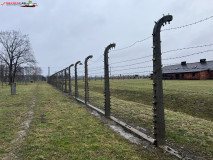 Lagărul De Exterminare Birkenau Auschwitz 2 46