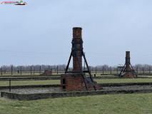 Lagărul De Exterminare Birkenau Auschwitz 2 50