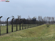 Lagărul De Exterminare Birkenau Auschwitz 2 57