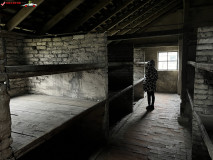 Lagărul De Exterminare Birkenau Auschwitz 2 73