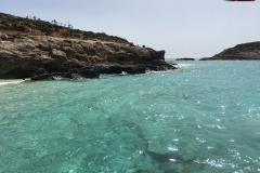 Laguna Albastra, Comino, Malta 90