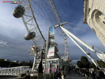 London Eye septembrie 2024 13