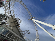 London Eye septembrie 2024 15