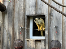 London Zoo septembrie 2024 163