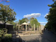 London Zoo septembrie 2024 258