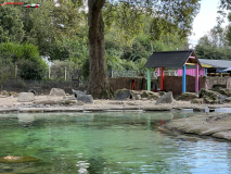 London Zoo septembrie 2024 47