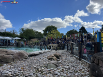 London Zoo septembrie 2024 55