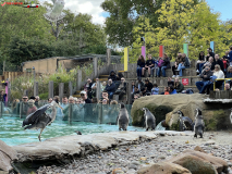 London Zoo septembrie 2024 57