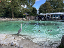 London Zoo septembrie 2024 61