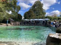 London Zoo septembrie 2024 65