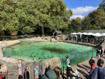 London Zoo septembrie 2024 67