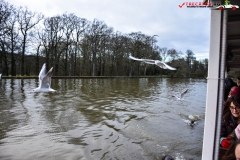 LongLeat, Anglia 166