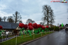 LongLeat, Anglia 213