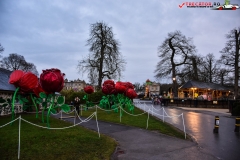 LongLeat, Anglia 216