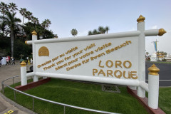 Loro Park, Tenerife 12