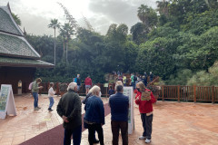 Loro Park, Tenerife 18