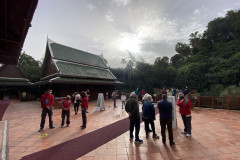 Loro Park, Tenerife 19