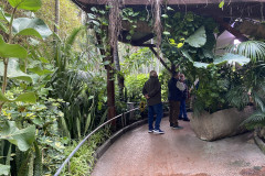 Loro Park, Tenerife 26