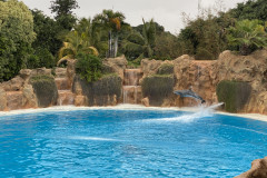 Loro Park, Tenerife 272