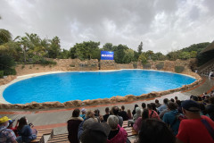 Loro Park, Tenerife 274