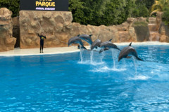 Loro Park, Tenerife 282