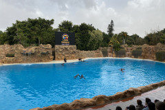 Loro Park, Tenerife 287