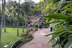 Loro Park, Tenerife 29