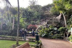 Loro Park, Tenerife 30
