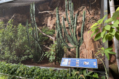 Loro Park, Tenerife 31