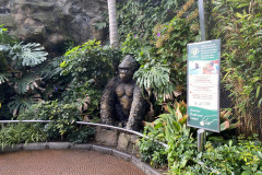 Loro Park, Tenerife 32