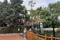 Loro Park, Tenerife 330