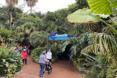 Loro Park, Tenerife 332