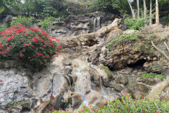 Loro Park, Tenerife 34