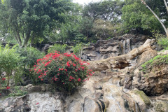 Loro Park, Tenerife 35