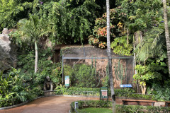 Loro Park, Tenerife 38