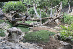 Loro Park, Tenerife 39