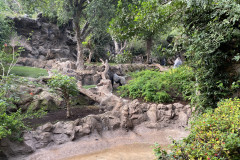 Loro Park, Tenerife 44